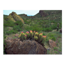 Flowered Evening Postcard