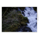 Flowered Falls cards