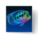 Flowerhorn Cichlid Pin buttons