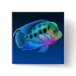 Flowerhorn Cichlid Pin