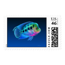 Flowerhorn Cichlid Postage postage