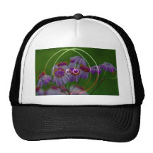FlowerImplosion 5 Gorros