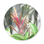 Flowering Air Plant magnets