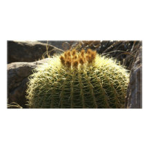Flowering Barrel Cactus Mexico Photo Greeting Card