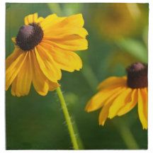 Flowering Black Eyed Susans Set of Four Napkins