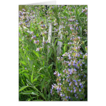 Flowering Blue Sage Blank Cards cards