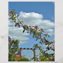 Flowering Branches Against Blue Sky Personalized Flyer