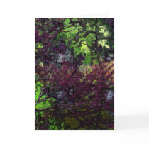 Flowering Branches Cards