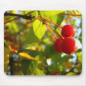 Flowering Crabapple Fall Mousepad by fruitbat85 Flowering Crabapple Fall Mousepad