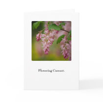 Flowering Currant • Greeting Card by SabineSt Flowering Currant • Greeting Card