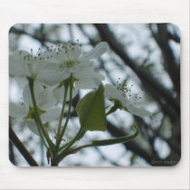 Flowering Dogwood Mousepad by MissM_Grafiks Flowering Dogwood Mousepad