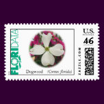 Flowering Dogwood