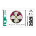 Flowering Dogwood postage