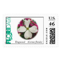 Flowering Dogwood postage by floridata Flowering Dogwood postage