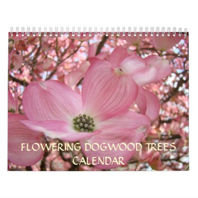 Flowering+dogwood+tree+leaf