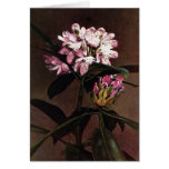 Flowering Great Rhododendron Cards