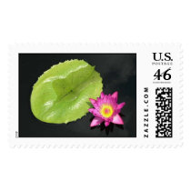 Flowering Lily Pad postage