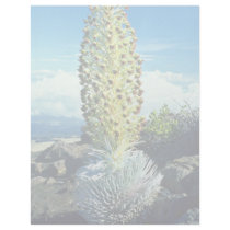 Flowering Mountain Succulent flowers Letterhead Design
