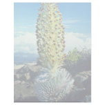 Flowering Mountain Succulent flowers Letterhead Design
