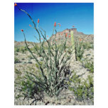 Flowering Ocotillo, Butte Behind Custom Flyer