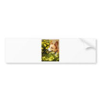 Flowering Pembroke Welsh Corgi Bumper Sticker