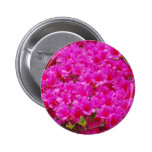 Flowering Pink Azalea Button