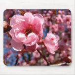 Flowering Plum Mouse Mat