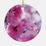 Flowering Plum Tree Blossom Christmas Ornament