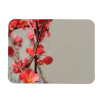 Flowering Quince Magnet