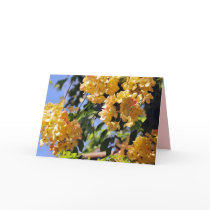 Flowering Rainbow Shower Tree Card