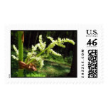 Flowering Rhubarb Stalks – Large stamp