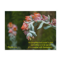Flowering Succulent Post Card