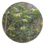 Flowering Tree Branches