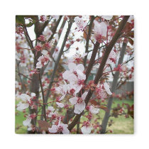 Flowering Tree Magnet by sunsett76 Flowering Tree Magnet