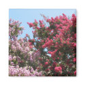flowering trees magnets by DonnaGrayson_Photos flowering trees magnets