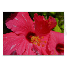 Flowerpot 1 greeting card