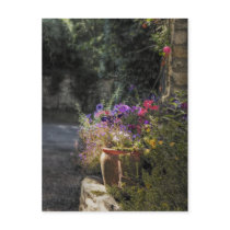 Flowerpot Postcard postcards