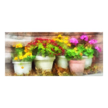 Flowerpots with Autumn Flowers Custom Rack Card