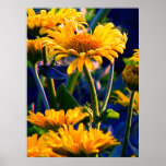 -Flowerpower- Poster