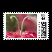 Flowers 014 postage by mickeyelvis128 Flowers 014 postage