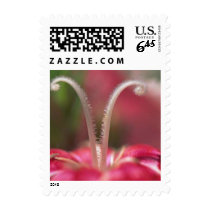 Flowers 014sm postage