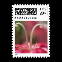 Flowers 014sm postage