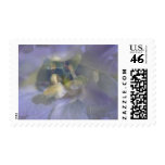 Flowers 019 stamps
