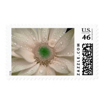 Flowers 112 postage