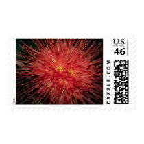 Flowers 113 postage