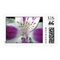 Flowers 13 postage