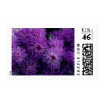 Flowers 170 stamps