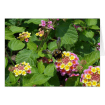Flowers 17 cards