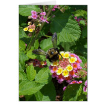 Flowers 17 - Vertical cards