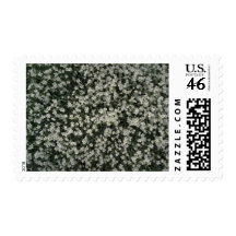 Flowers 182 stamps